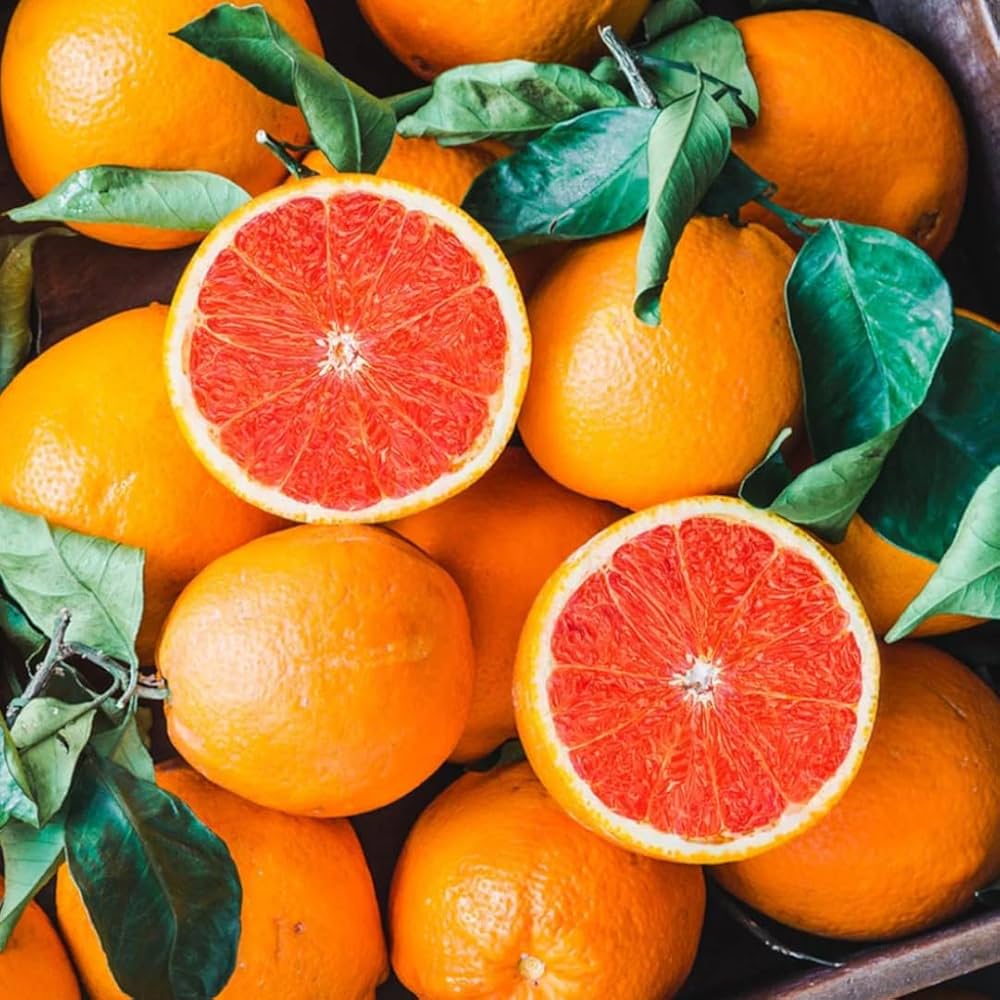 Exotic Orange Fruit Seeds for Planting, Step-by-Step Guide for Growing Vibrant, Sweet Oranges