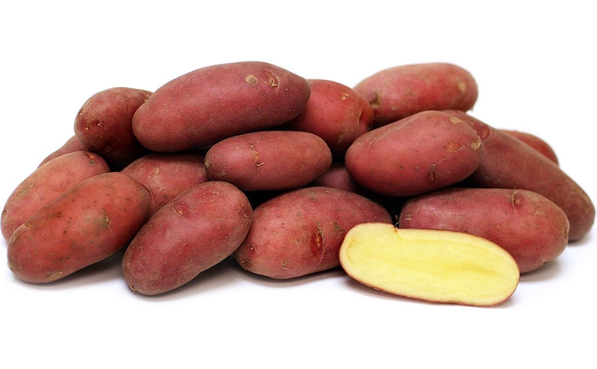 Fingerling Potato Mixed Vegetable Seeds for Planting for Planting, Premium Seeds | Heirloom Non-GMO - Evergrowseeds