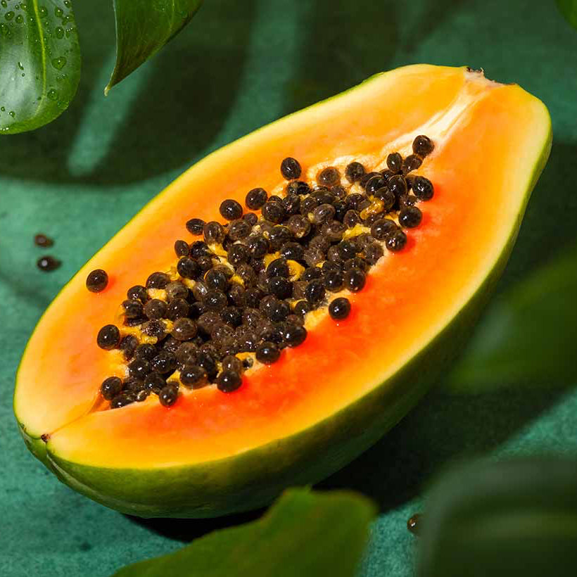 Heirloom Papaya Seeds – Non-GMO Fruit Plant for Pots and Gardens