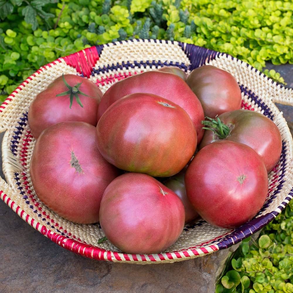 Tomato seeds for backyard planting