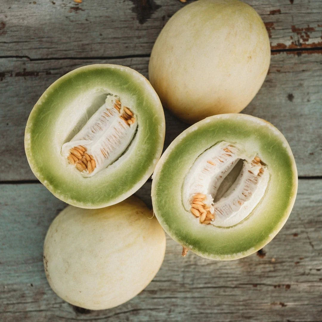 Honeydew Green Flesh Melon (Cucumis melo Inodorus) Fruit Seeds