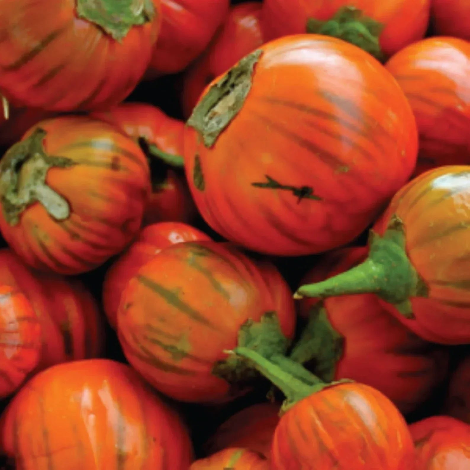 Orange Eggplant Sweet Fruit Seeds for Planting