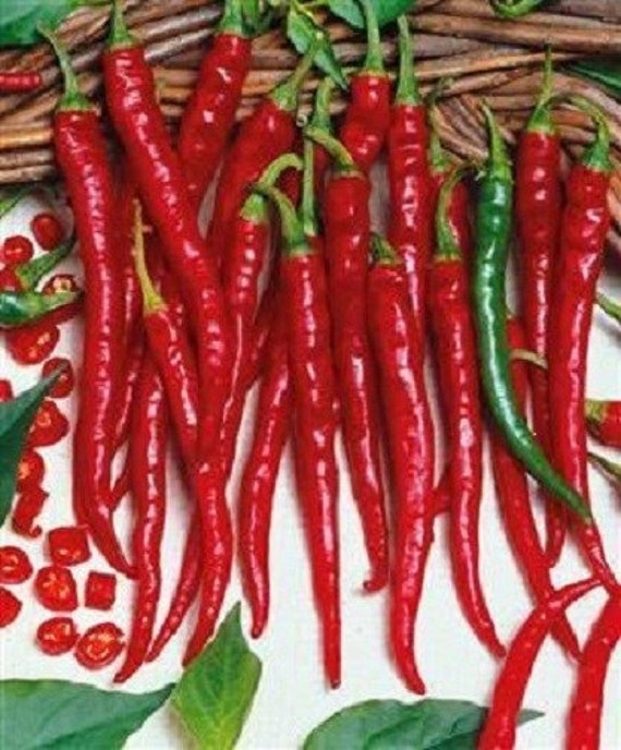 Long Red Slim Cayenne Pepper Seeds for Hot, Slim Peppers