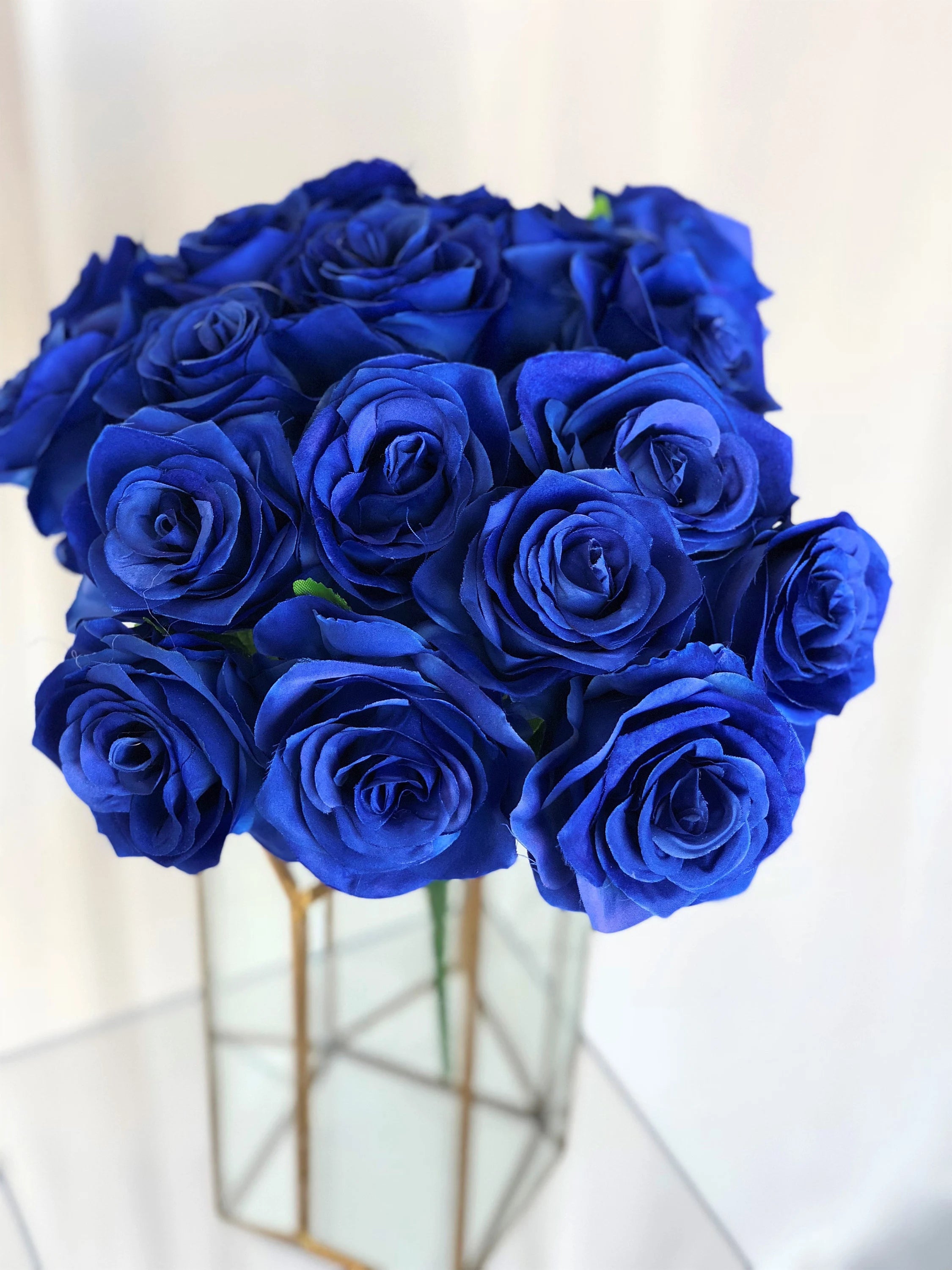 Dark Blue Holland Rose Flower Seeds for Planting Cottage Garden Essential Heirloom & GMO Free Seeds for Home Garden
Sale