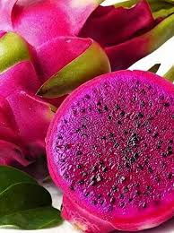 Pink Pitaya Seeds for Planting Grow Your Own Delicious Dragon Fruit