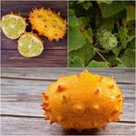 Cucumis Metuliferus (Horned Melon) Vegetable Seeds for Planting