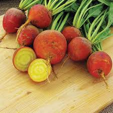 Orange Beet Seeds for Vegetable Planting