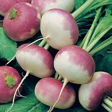 Watermelon Radish Vegetable Seeds for Planting