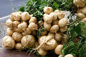 Jicama Vegetable Seeds for Planting