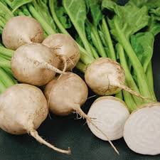 White Beet Vegetable Seeds for Easy Planting