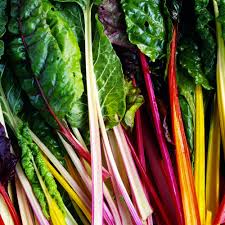 Pink Green Swiss Chard Vegetable Seeds for Garden Planting