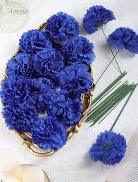 Dianthus Caryophyllus Seeds - Dark Blue Flower Seeds for Planting