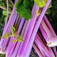 Pink Plume Celery Vegetable Seeds for Planting