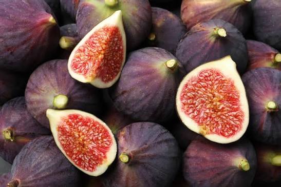 Mixed Fig Seeds for Planting Fruit Seeds for Home Gardens, Containers & Outdoor Growing