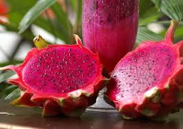 Pink Pitaya Seeds for Planting Grow Your Own Delicious Dragon Fruit