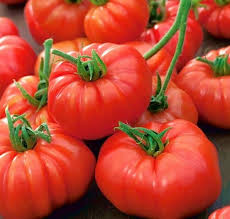 Pink Berkeley Vegetable Seeds for Planting