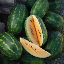 Orange Watermelon Seeds for Planting - Grow Your Own Juicy Fruit