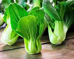 Bok Choy Seeds for Planting | Easy Growing Guide for Healthy Harvests