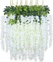 Silver Chandelier Seeds for Planting – Heirloom NonGMO Cottage Garden Essential Organic Garden Seeds with High Germination
Sale