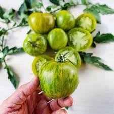 Tomate Cebra Seeds for Home Gardening