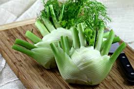 Florence Fennel Vegetable Seeds for Easy Planting