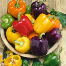 Bell Vegetable Seeds - Perfect for Home Gardening