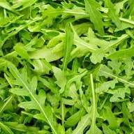 Green Rocket Salad Vegetable Seeds for Easy Planting for Planting, Premium Seeds | Heirloom Non-GMO
