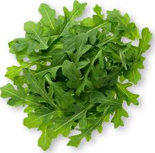 ARUGULA ROQUETTE Lettuce Seeds for Nutritious, Peppery Greens