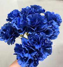 Dianthus Caryophyllus Seeds - Dark Blue Flower Seeds for Planting