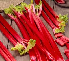 Ruibarbo Plant Seeds for Gardening and Planting: Grow Your Own Delicious Rhubarb!
