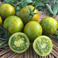 Tomate Cebra Seeds for Home Gardening