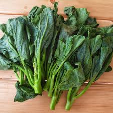 Gailan Vegetable Seeds for Planting
