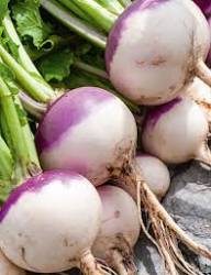 Swede Vegetable Seeds for Easy Planting