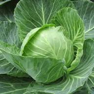Collard Greens Seeds for Planting