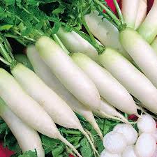 Japanese Minowase Radish Seeds for Sweet, Mild Radishes