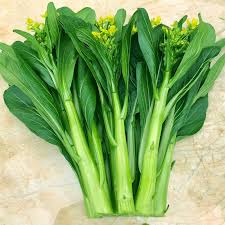 Choy Sum Vegetable Seeds for Quick and Easy Growth