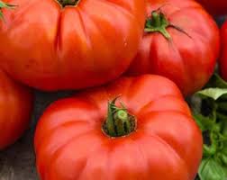 Pink Berkeley Vegetable Seeds for Planting