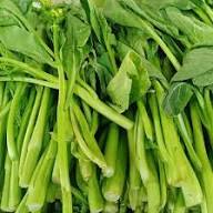 Choy Sum Vegetable Seeds for Quick and Easy Growth