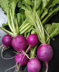 Purple Radish Seeds for Easy Planting