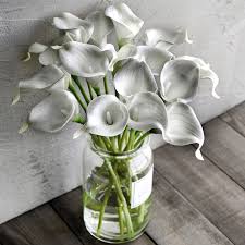 Dark Gray Calla Flower Seeds for Planting Long Bloom Season Heirloom & GMO Free Seeds for Home Garden
Sale