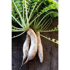 Minowase Vegetable Seeds for Planting