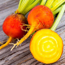 Golden Beet Detroit Seeds for Planting Vegetable Patch Organic Farming