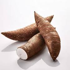 Yam Vegetable Seeds for Home Gardening