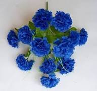 Dianthus Caryophyllus Seeds - Dark Blue Flower Seeds for Planting
