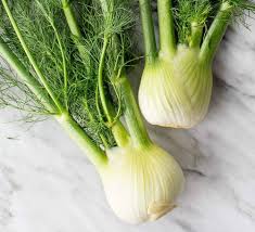 Florence Fennel Vegetable Seeds for Easy Planting