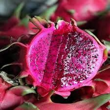 Pink Pitaya Seeds for Planting Grow Your Own Delicious Dragon Fruit