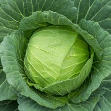 Collard Greens Seeds for Planting