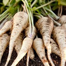 Hamburg Parsley Vegetable Seeds for Easy Planting
