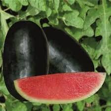 Black Watermelon Seeds for Planting - Grow Your Own Delicious Fruit