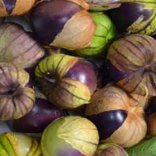 Purple Tomatillo Seeds for Easy Planting